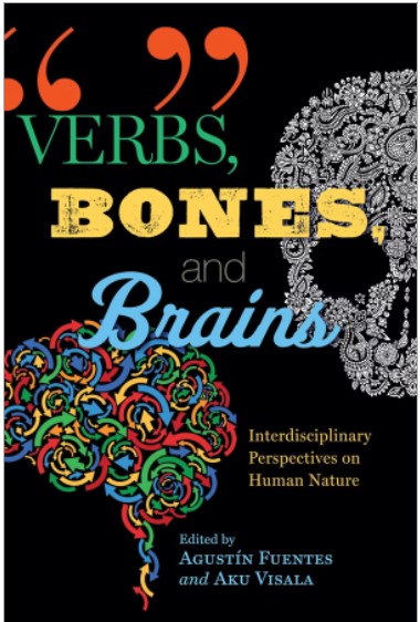 Verb-bones