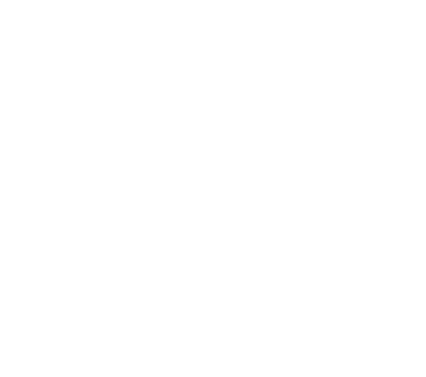 Bluesky_Logo